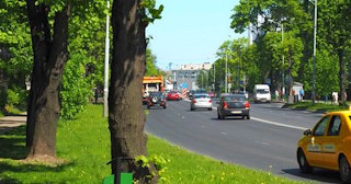 Посадка деревьев и кустарников в Верхней Пышме — стоимость от 1231 руб.
